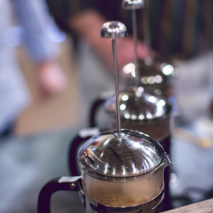 All-Nighter Coffee Collection - The Cultured Cup®