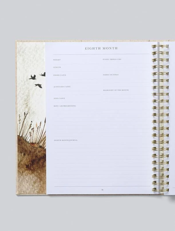 Baby Your First Five Years, Oatmeal - 13 Hub Lane   |  Baby Journals