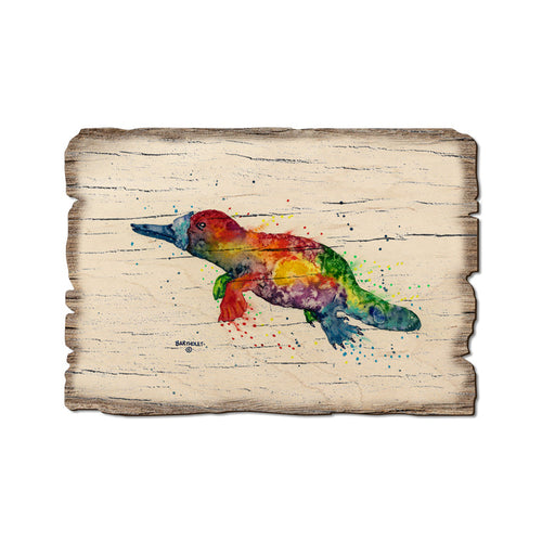 Bartholet's Rainbow Platypus - Rustic Edge Postcards & Magnets Rustic Edge Postcard (5pk // $2.80ea)