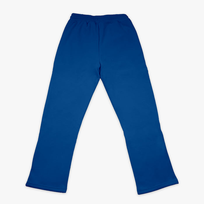 Blue Baseline Straight Leg sweatpants — back view