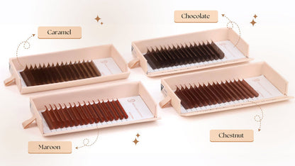 Brown Cashmere Volume - Chestnut Lash Trays Mega Lash Academy