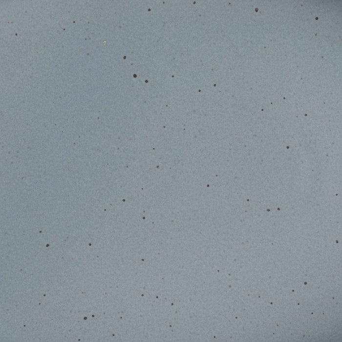 A closeup of a ceramic plate in a blue-grey color with iron speckles throughout