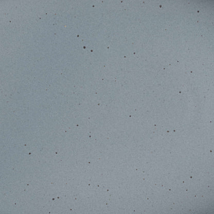 A closeup of a ceramic plate in a blue-grey color with iron speckles throughout