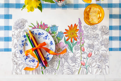 Coloring Wildflower Meadow Placemat with colored pencils and a plate on the Blue Painted Check Runner.