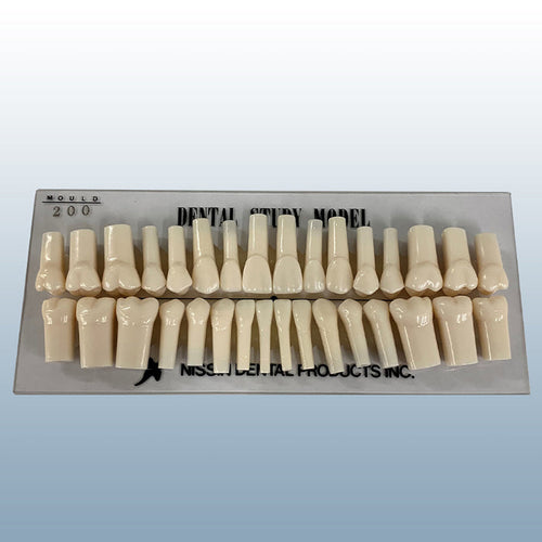 permanent teeth replacement