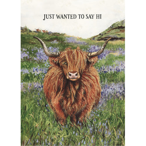 A watercolor illustration of a highlight cow in a field of grass and flowers with the text: "JUST WANTED TO SAY HI".