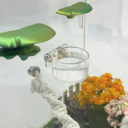 Jumping Spider Feeding Dish Set, Magnetic Water Bowl, Reptile Feeding Tongs, Jumping Spider Enclosure Accessories.