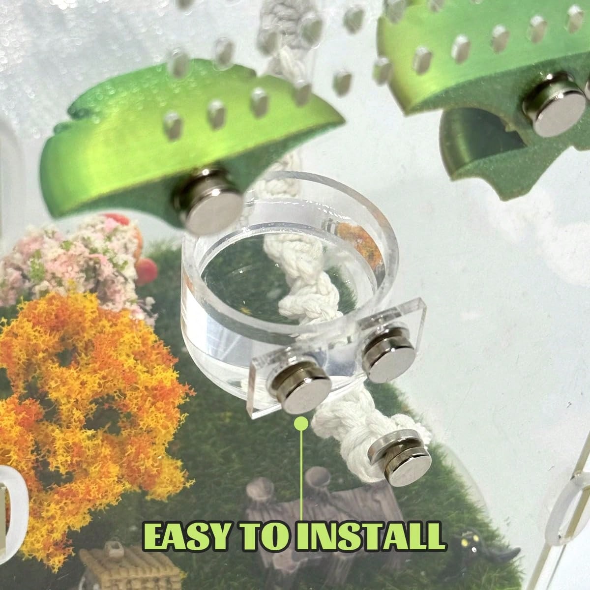 Jumping Spider Feeding Dish Set, Magnetic Water Bowl, Reptile Feeding Tongs, Jumping Spider Enclosure Accessories.