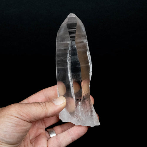 Lemurian Seed Quartz Crystal 432 g 151x48mm - InnerVision Crystals