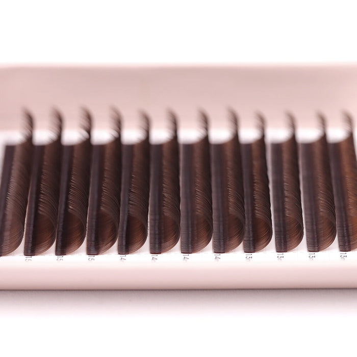 Medium Brown Classic Lash Tray Lash Trays Mega Lash Academy