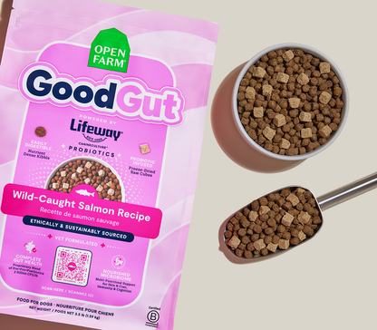 Open Farm GoodGut Wild-Caught Salmon Dog Kibble