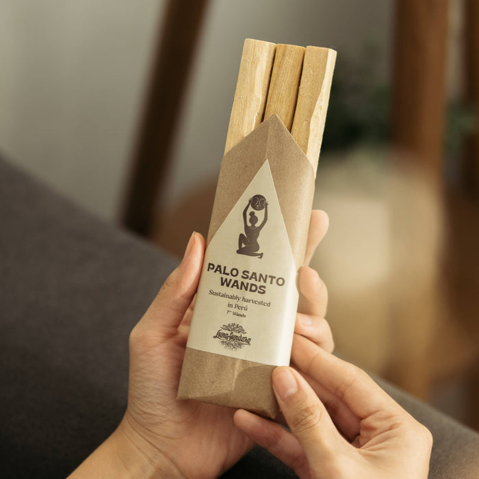 Palo Santo wands in a brown paper packaging held by a person.