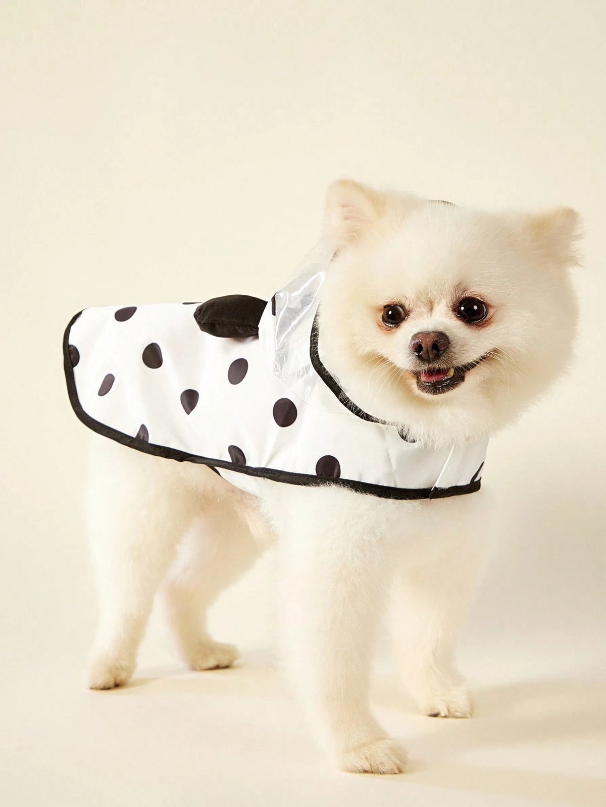 PETSIN 1pc Polka Dot Panda Ear Design Black Edged Waterproof Raincoat, Suitable For Cats & Dogs Going Outdoor In Rainy Days