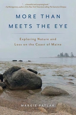 Pre-Owned More Than Meets The Eye: Exploring Nature And Loss On The Coast Of Maine (Paperback) By Margie Patlak