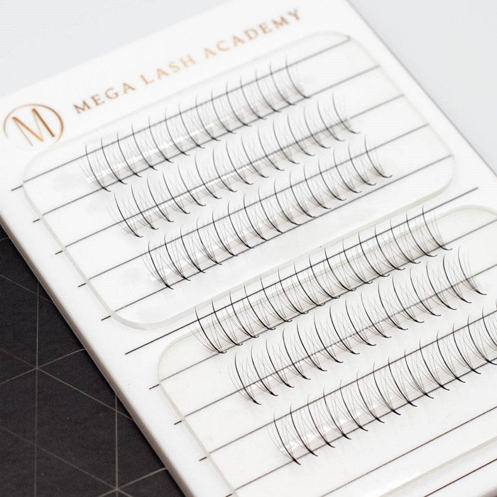 Sample Rapid Promade Fans - Mega Lash Academy