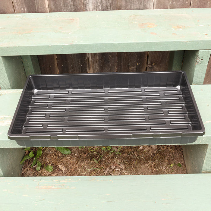 Tray No Drainage 11 X 21