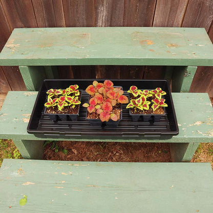 Tray No Drainage 11 X 21