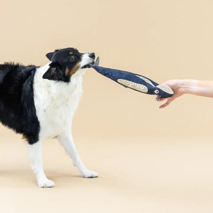 Whale Dog Toy: There She Blows | Cotton Canvas