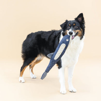 Whale Dog Toy: There She Blows | Cotton Canvas